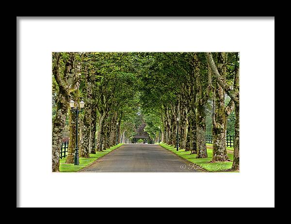 Sights Framed Print featuring the photograph Colonnade of Trees by Roberta Kayne