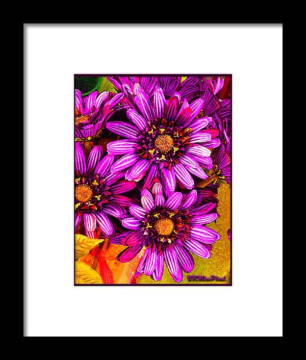 Bright Framed Print featuring the photograph Color Bright by Barbara MacPhail