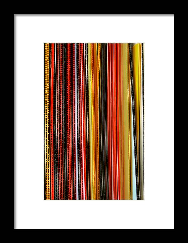Color Framed Print featuring the photograph Color Me Bright by Nikolyn McDonald