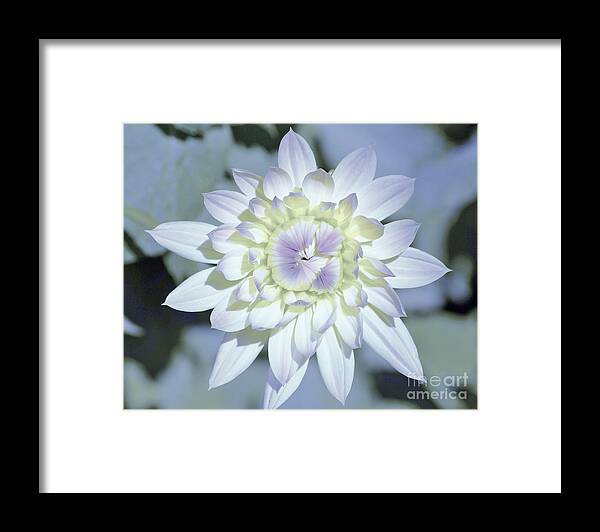 Flowers Framed Print featuring the photograph Color Me by Merle Grenz