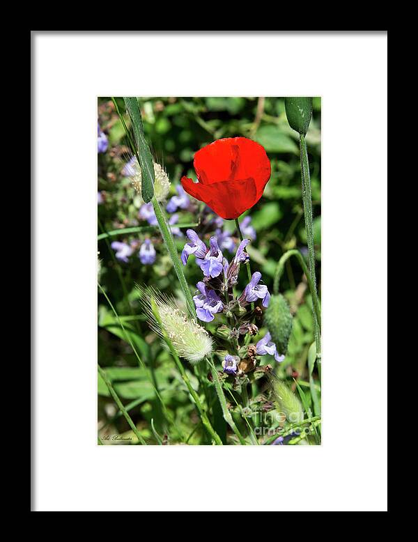 Color Framed Print featuring the photograph Color mix 05 by Arik Baltinester
