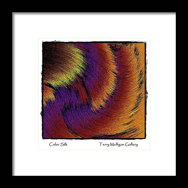 Color Framed Print featuring the digital art Color Silk by Terry Mulligan
