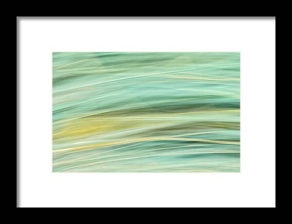 Clematis Vine Framed Print featuring the photograph Color Swipe by Tom Singleton
