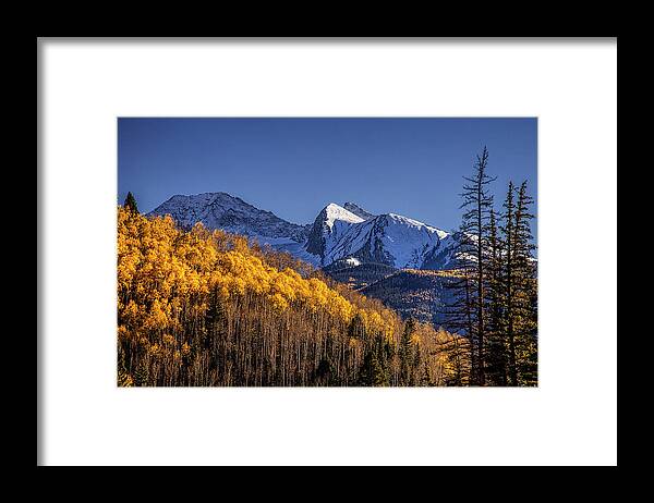Autumn Framed Print featuring the photograph Colorado Aspens at Autumn by Andrew Soundarajan