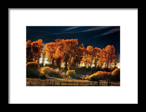 Autumn Framed Print featuring the photograph Colorado Autumn Morning by Andrew Soundarajan