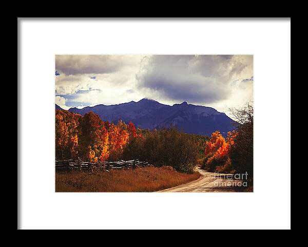 Lost Dollar Road Framed Print featuring the painting Colorado Blazing Autumn by Janice Pariza
