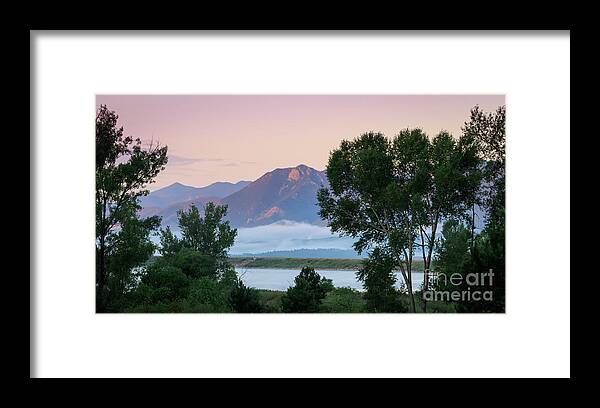 Forest Framed Print featuring the photograph Colorado Morning by Richard Smith