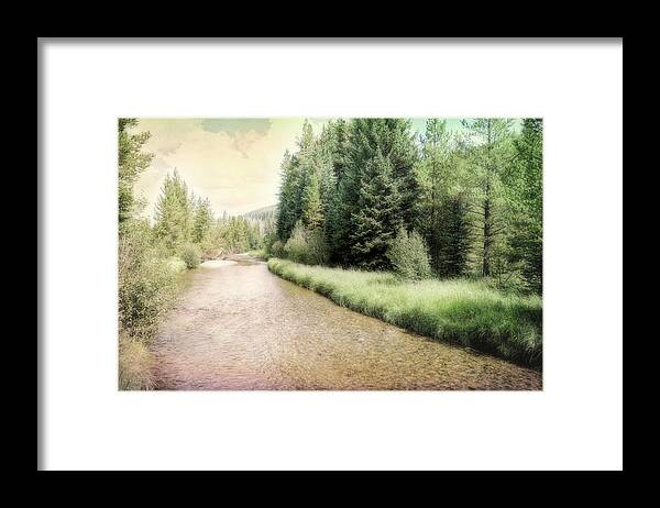 Colorado Framed Print featuring the photograph Colorado River photograph by Ann Powell