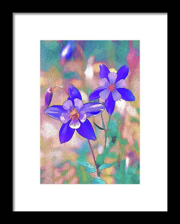 Columbines Framed Print featuring the digital art Colorado State Flower 2 by Lena Owens - OLena Art Vibrant Palette Knife and Graphic Design