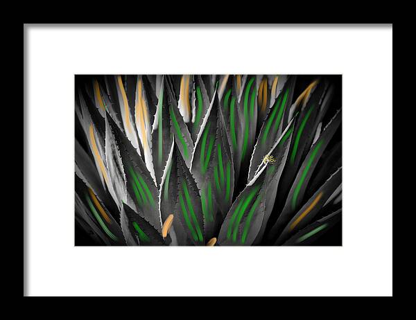 Photo Framed Print featuring the photograph Colorful Cacti by Richard Gehlbach