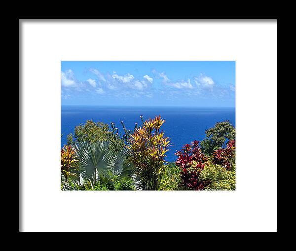 Sea Framed Print featuring the photograph Colorful Coast by Nicole I Hamilton