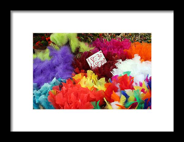 Stockholm Framed Print featuring the photograph Colorful Easter Feathers by Linda Woods