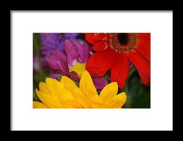 Flower Framed Print featuring the photograph Colorful Flowers by Liz Vernand