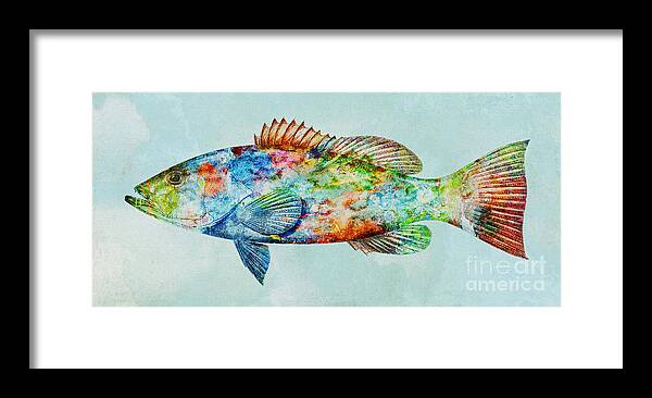 Color Fusion Framed Print featuring the mixed media Colorful Gag Grouper Art by Olga Hamilton