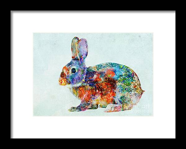 Color Fusion Framed Print featuring the mixed media Colorful Rabbit Art by Olga Hamilton