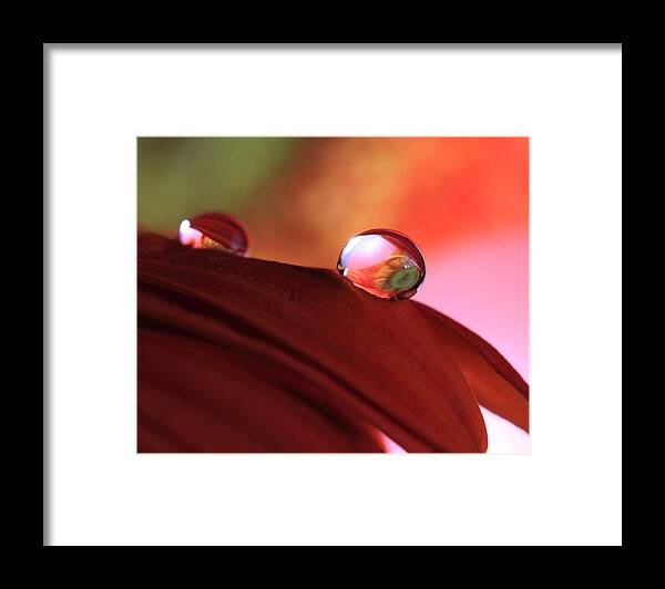 Macro Framed Print featuring the photograph Colorful Reflections by Angela Murdock
