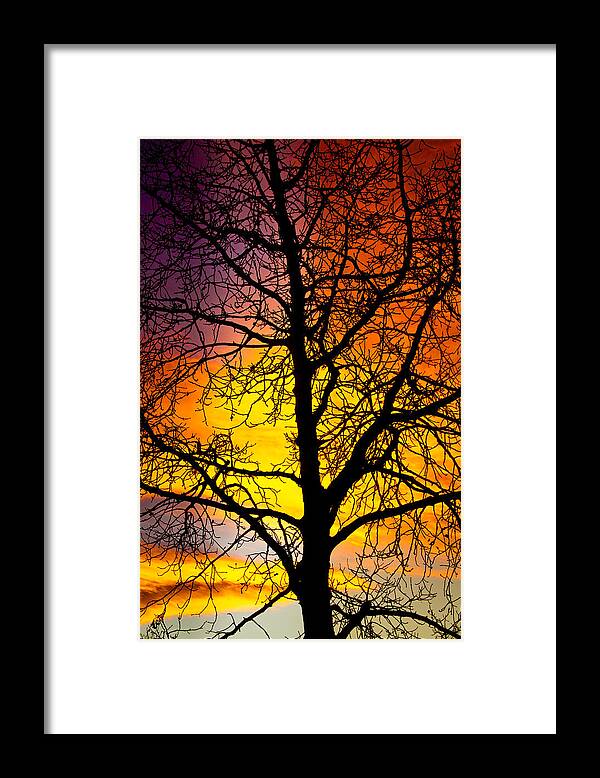 Silhouette Framed Print featuring the photograph Colorful Silhouette by James BO Insogna