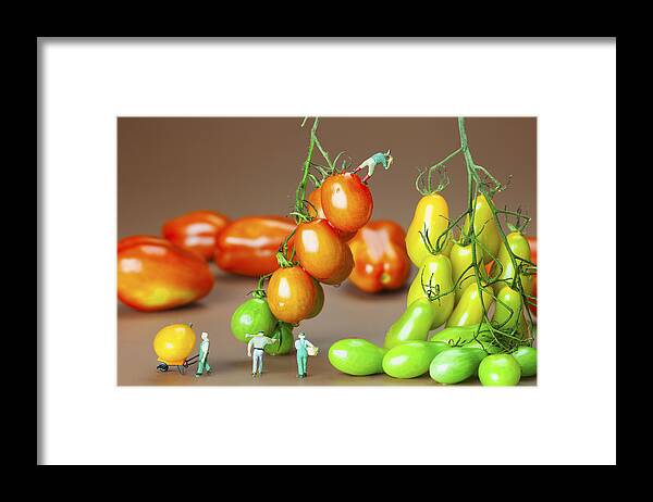 Worker Framed Print featuring the photograph Colorful tomato harvest little people on food by Paul Ge