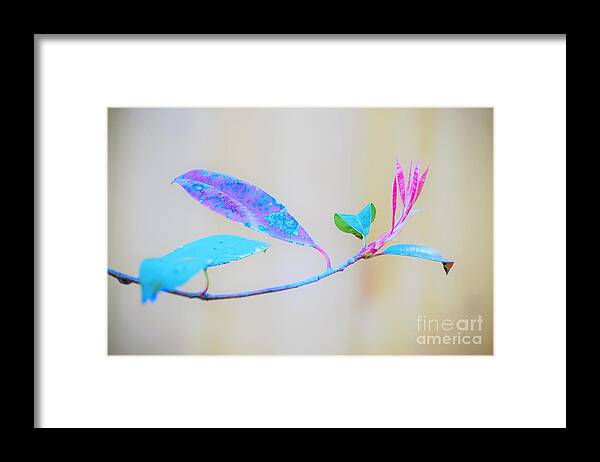 Colorful Framed Print featuring the photograph Colorfully designed by Merle Grenz