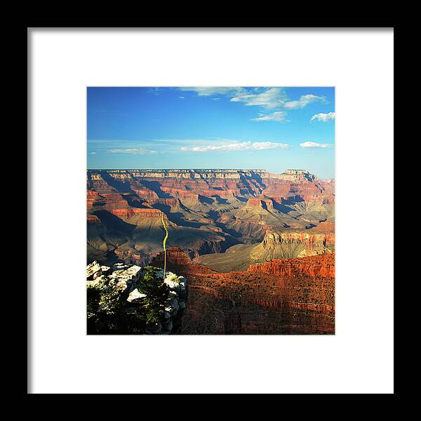 America Framed Print featuring the photograph Colors and Depth of Grand Canyon - Square Format by Gregory Ballos