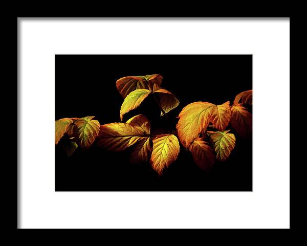Autumn Framed Print featuring the painting Colors of Autumn Memories by David Dehner