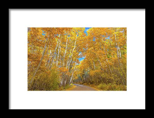 Fall Framed Print featuring the photograph Colors of Fall by Darren White