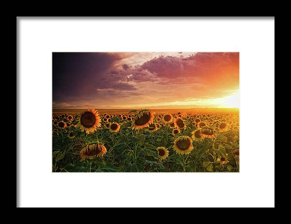 Colorado Framed Print featuring the photograph Colors Of Late Evening by John De Bord
