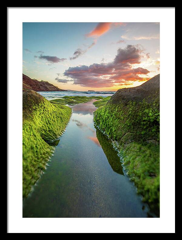 Maui Framed Print featuring the photograph Colors of Maui by Drew Sulock