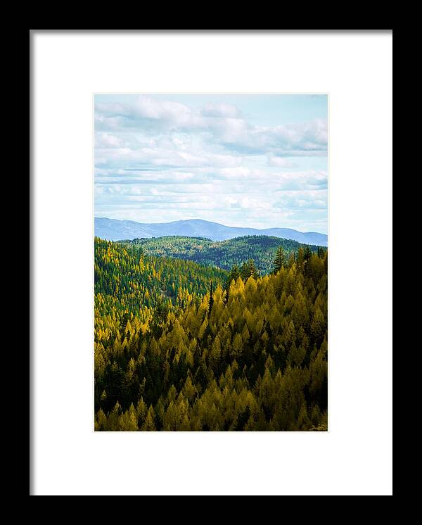 Sherman Pass Framed Print featuring the photograph Colors of Sherman's Pass by Troy Stapek