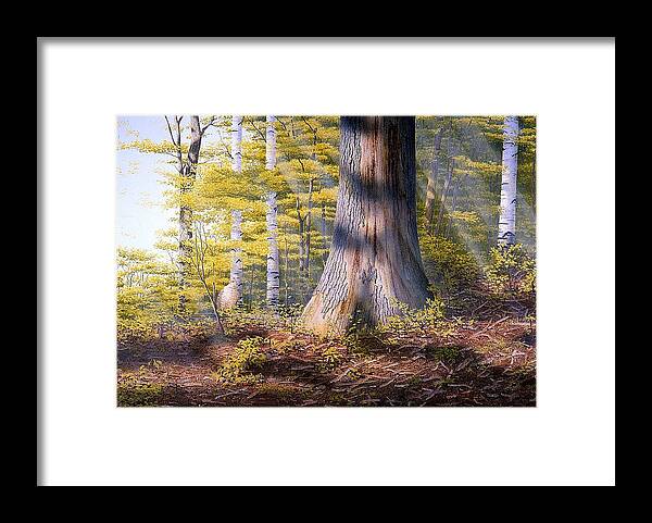 Woodland Framed Print featuring the painting Colors of Spring by Conrad Mieschke