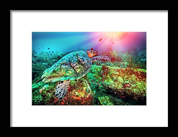 Florida Framed Print featuring the photograph Colors of the Sea in Lights by Debra and Dave Vanderlaan