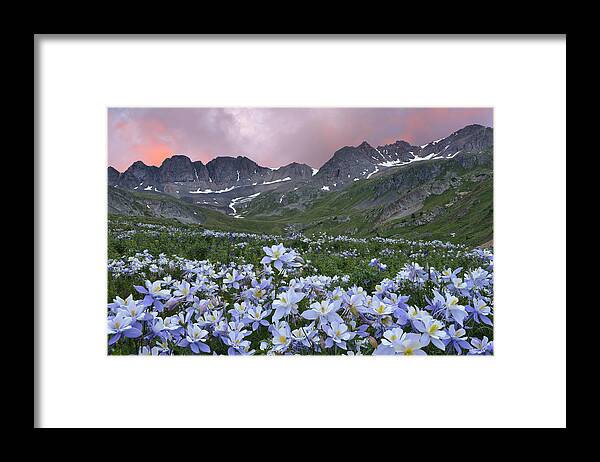 American Basin Framed Print featuring the photograph Columbine at America Basin by Dean Hueber