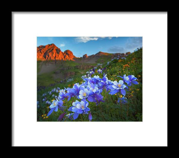 Colorado Framed Print featuring the photograph Columbine Sunrise by Darren White