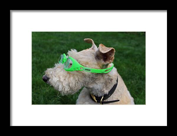 Goggles Framed Print featuring the photograph Come on Summer by Michiale Schneider