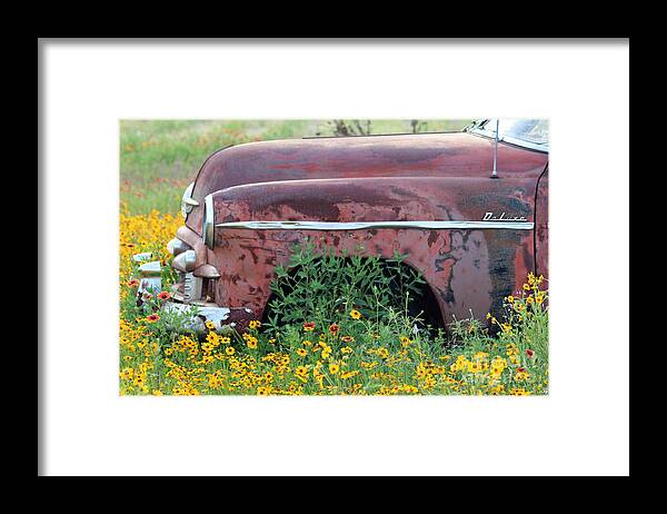 Old Car With Flowers Framed Print featuring the photograph Comes With Flowers by Joe Pratt