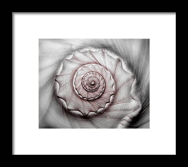 Sea Framed Print featuring the photograph Coming or Going by Tammy Schneider