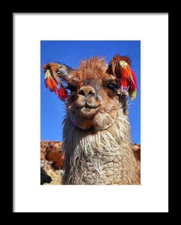 Como Se Llama Framed Print featuring the photograph Como Se Llama by Skip Hunt