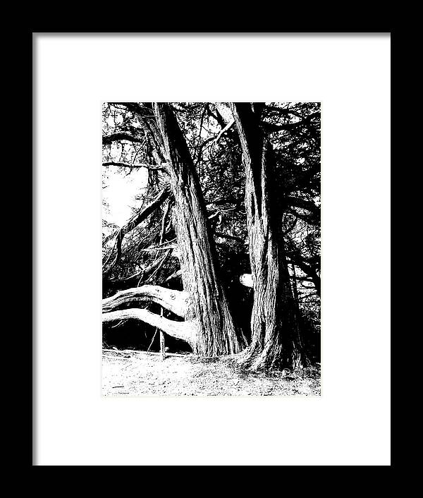 Friends Framed Print featuring the photograph Companions by JoAnn SkyWatcher