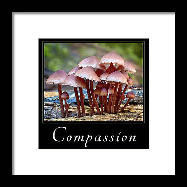Good Samaratan Society Framed Print featuring the photograph Compassion by Mary Jo Allen