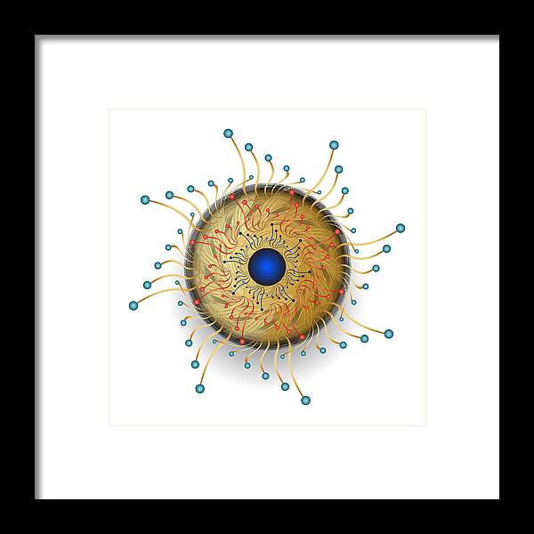 Mandala Framed Print featuring the digital art Complexical No 2326 by Alan Bennington