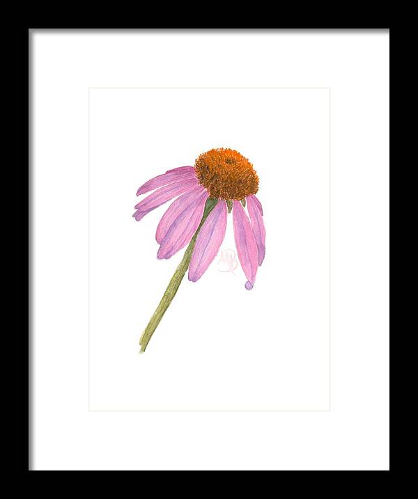 Flower Framed Print featuring the painting Coneflower by Monica Burnette