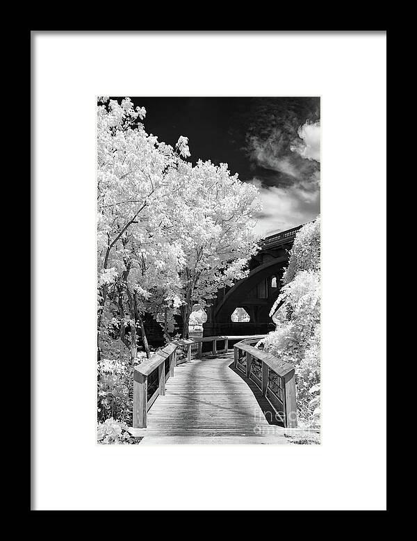 Congaree River Framed Print featuring the photograph Congaree River Boardwalk by Charles Hite