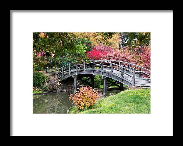 Nature Framed Print featuring the photograph Connections by Darlene Bushue