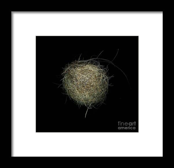 Photography Framed Print featuring the photograph Construction Nr. 1 by Christian Slanec