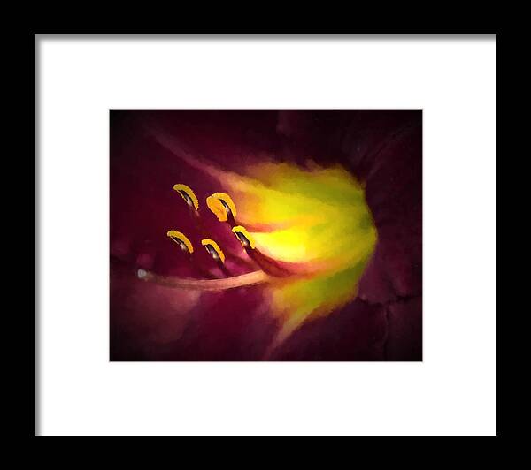 Lily Framed Print featuring the photograph Contact by Cathy Donohoue