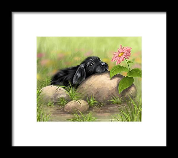 Dog Framed Print featuring the painting Contemplation by Veronica Minozzi