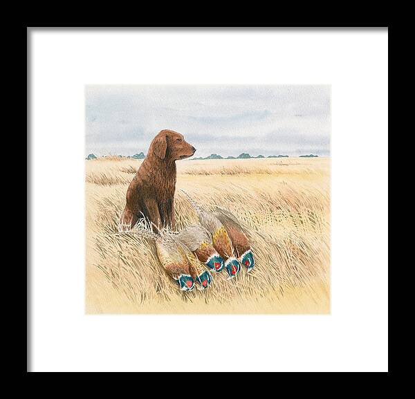 Golden Retriever Framed Print featuring the drawing Content Golden by Timothy Livingston