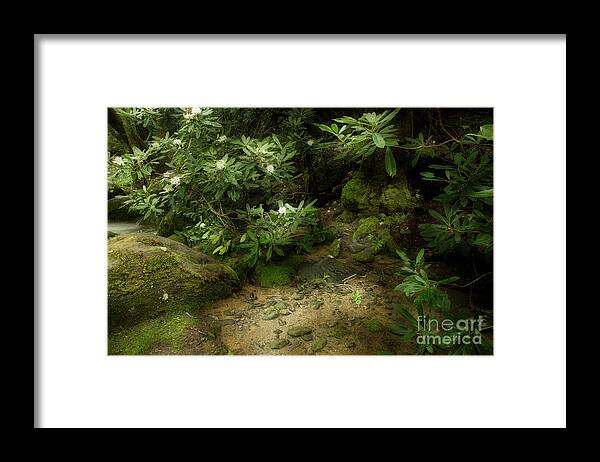River Framed Print featuring the photograph Contentment by Mike Eingle