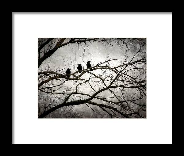 3 Crows Framed Print featuring the photograph Contrive - By the Light of the Moon by Angie Rea