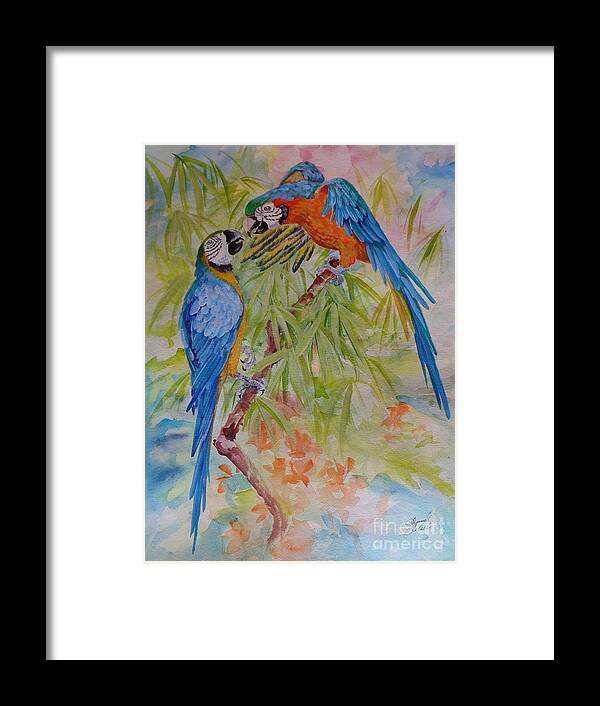 Parrots Framed Print featuring the painting Conversation with Jackie by Summer Celeste